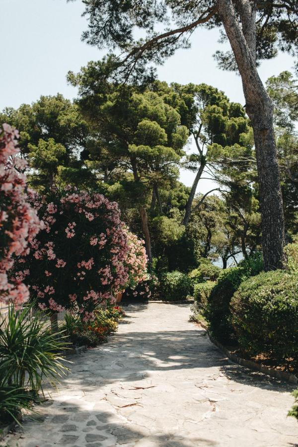 Hotel Provencal Hyères Exterior foto